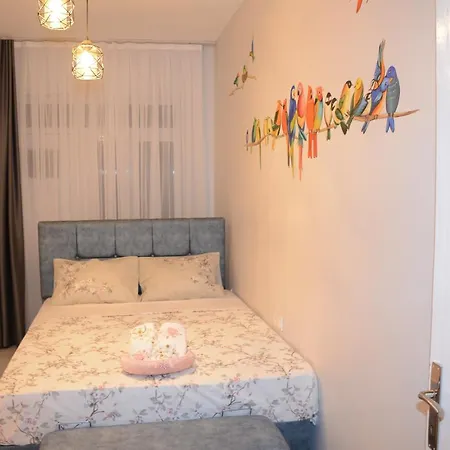 La Casa Provincia di Istanbul